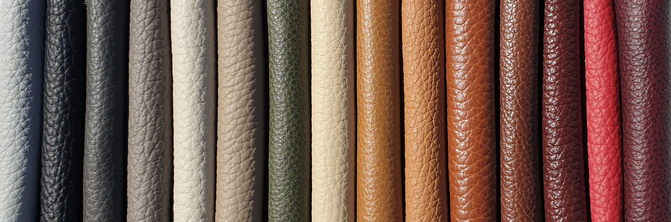 Leather Colors (Slide)